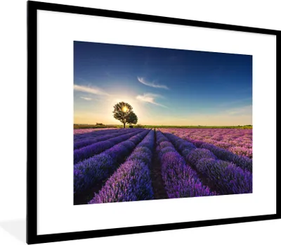 Produktbild von MuchoWow® Gerahmtes Poster Lavendel - Sonne - Baum - Blumen - Lila 80x60 cm - Poster mit Schwarzem Bilderrahmen Wandposter Rahmen Foto Bilder - Schlafzimmer-Dekorationen - Fotoposter