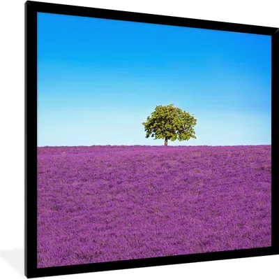 Produktbild von MuchoWow® Gerahmtes Poster Baum - Lila - Himmel - Lavendel 40x40 cm - Poster mit Schwarzem Bilderrahmen Wandposter Rahmen Foto Bilder - Mit Rahmen - Wanddekoration Schlafzimmer