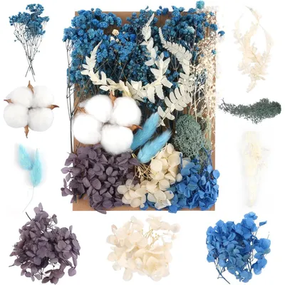 Image de Lot de fleurs séchées bleues pour la création et la décoration, mélange de fleurs naturelles pour les projets DIY, la résine époxy, les albums-photos et les cartes