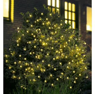 Immagine prodotto di F-H-S Catena luminosa con 200 LED, luce verde/bianca calda
