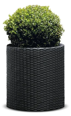 Image de Pot cylindrique L