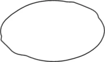 Obrázek produktu pro Kupplungsdeckeldichtung (Aussen) O-Ring Für Yamaha Yzf 450 '14-'17, Wrf 450 '16-'18