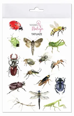 Image de Tatouages temporaires sur le thème des insectes, lot de 16, pour enfants