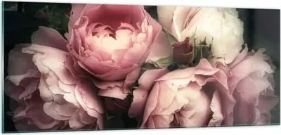 Produktbild von Bilder auf glas - Pfingstrose Blume - 100x40cm - Glasbilder - Wandbilder - Kunstdruck - zum Aufhängen bereit - Wanddekoration aus Glas - Glas Bilder - Wandbild auf Glas - Einteilig - GAB100x40-3930