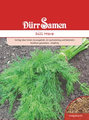 Produktbild von Dill Hera | Dillsamen von Dürr Samen