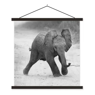 Produktbild von MuchoWow® Textilposter Elefant - Baby - Tiere - Kröte - Schwarz und weiß 60x60 cm mit schwarzem Rahmen - Posteraufhänger