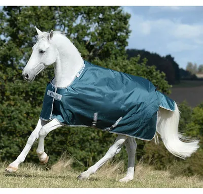 Produktbild von Bucas Outdoordecke 300g Greenline Turnout Weidedecke Green 140