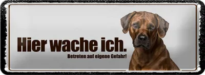 Produktbild von Blechschild Hinweis Rodhesian Ridgeback hier wache ich eigene Gefahr, 27  x 10 cm, Blechschilder Tiere Achtung