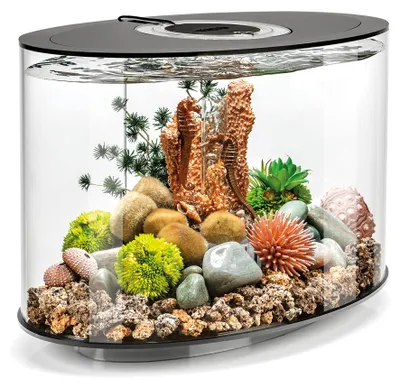 LED-Aquarium 15L Acryl Komplettset mit Filter 360°