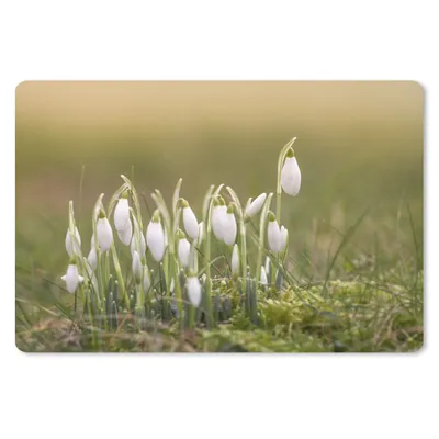 Produktbild von MuchoWow® Mauspad Mousepad Wilde Schneeglöckchenblüten 27x18 cm - Mousepads - Maus Mat - Pad - Mausunterlage - Büroartikel - Desk Matten