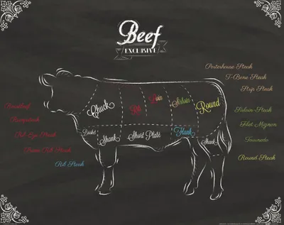 Obrázek produktu pro Kulinářské umění Art Print Picture - Cuts Of Beef (40 x 50 cm)
