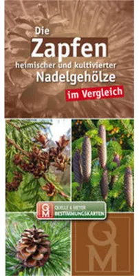 Obrázok produktu pre Die Zapfen heimischer und kultivierter Nadelgehölze im Vergleich