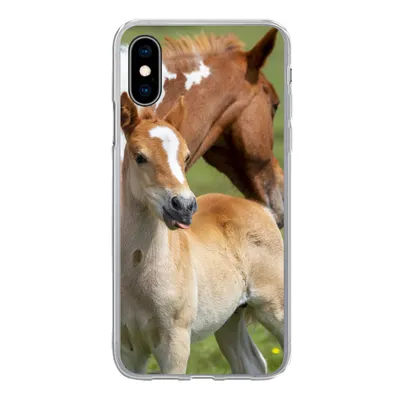 Produktbild von MuchoWow® Handyhülle Schutzhülle Hülle für iPhone X Pferde - Fohlen - Gras Silikon Softcase Handy Hülle - Handyhülle