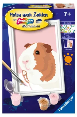 Immagine prodotto di Ravensburger Malen nach Zahlen Niedliches Meerschweinchen, Malset, Malvorlage, Malen, 23758