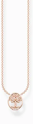 Immagine prodotto di Thomas Sabo KE2126-416-14-L45V Collana da donna