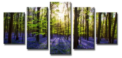 Produktbild von 6319 Lavendelwald Leinwandbild 5-teilig 200x100 cm