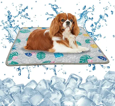 Produktbild von Sonstiges Hundezubehör Embhlitfe Haustier-Kühlmatte für Hunde und Katzen, 50 x 40 cm, Eisseide, Kühlmatten für Hunde, Hundekühlmatte, waschbar, selbst