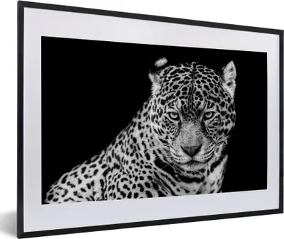 Produktbild von MuchoWow® Gerahmtes Poster Leopard - Tiere - Schwarz - Weiß - Porträt 60x40 cm - Poster mit Schwarzem Bilderrahmen Wandposter Rahmen Foto Bilder - Schlafzimmer - Plakat in Rahmen - Drucken