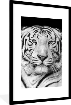 Produktbild von MuchoWow® Gerahmtes Poster Tiger - Schwarz - Weiß - Porträt - Tiere 60x90 cm - Poster mit Schwarzem Bilderrahmen Wandposter Rahmen Foto Bilder - Dekoration - Wandposter Wohnzimmer - Hochwertig