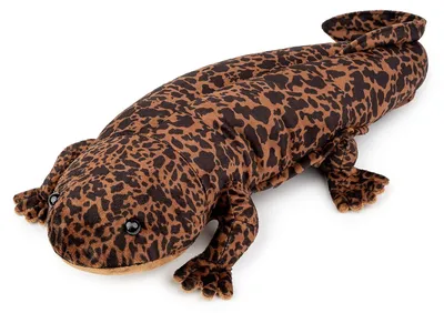 Produktbild von Riesensalamander-Plüschtier – 50 cm