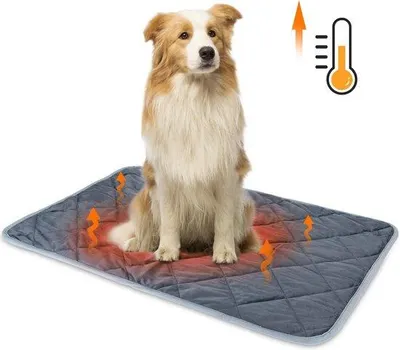 Produktbild von Famanu Hundebett Plüsch Donutform - Waschbar - Lichtgrau - 60 cm