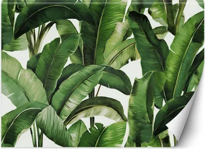 Produktbild von Vlies fototapete Grüne tropische Blätter 200x140 cm Feeby Grün inkl. Kleber einfache Montage