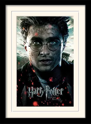 Produktbild von Pyramid International MP11083P, 1 Stück(e), Wizarding World, Rechteck