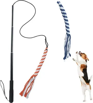 Produktbild von Flirtstange für Hunde - Interaktives Spielzeug - Geeignet für alle Hunderassen