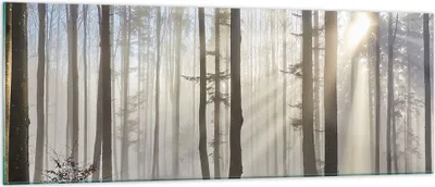 Produktbild von Bilder auf glas - Wald Baum Natur - 140x50cm - Glasbilder - Wandbilder - Kunstdruck - zum Aufhängen bereit - Wanddekoration aus Glas - Glas Bilder - Wandbild auf Glas - Einteilig - GAB140x50-3749