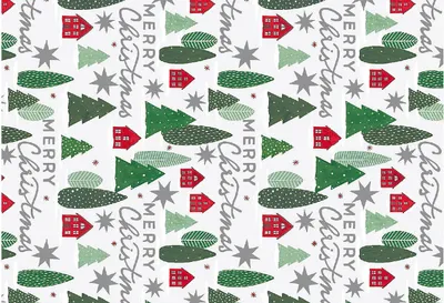 Image de WOERNER Papier de Noël Montana 70cm 200m