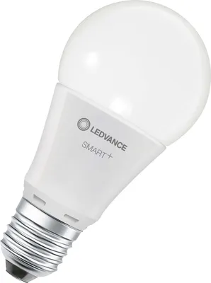 A white LED light bulb with a silver screw base, angled against a white background.