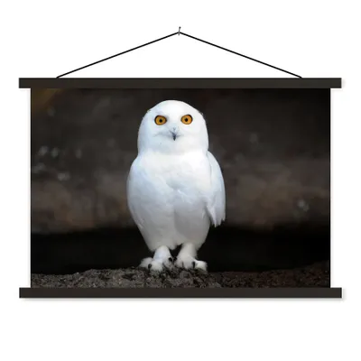 Produktbild von MuchoWow® Textilposter Schneeeule 120x80 cm mit schwarzem Rahmen - Wanddeko