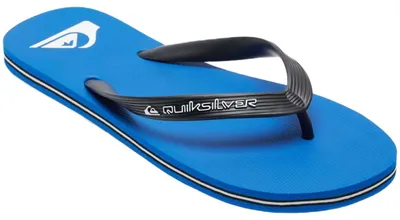 Obrázek produktu pro Žabky Quiksilver AQYL101325-BYJ1 pro Pánské