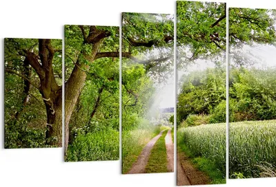 Produktbild von Bild auf Leinwand - Leinwandbild - Pfad Natur Wald Grün - 150x100cm - Wand Bild - Wanddeko - Leinwanddruck - Bilder - Kunstdruck - Wanddekoration - Leinwand bilder - Wandkunst - EG150x100-2637