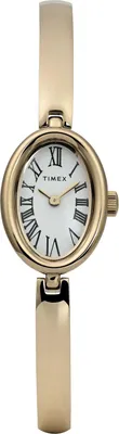Image de Montre Timex TW2Y27200 en or