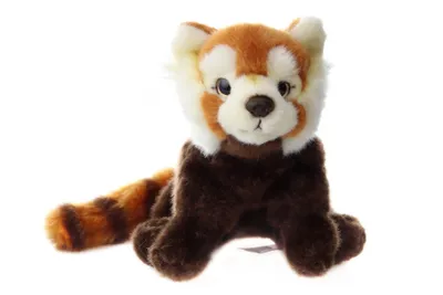 Zdjęcie produktu dla czerwona panda indyjska ok. 20 cm kot niedźwiedź miękka zabawka przytulanka