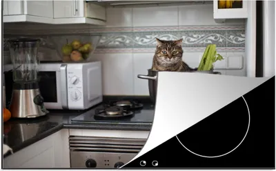 Produktbild von KitchenYeah© Herdabdeckplatte Katze - Pfanne - Küche , 81x52cm, Küche Deko, Glaskeramikkochfeld Herdabdeckung, Abdeckplatte fùr Kochfeld