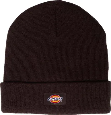 Zdjęcie produktu dla DICKIES - Cuffia uomo Gibsland con logo - Misura One size