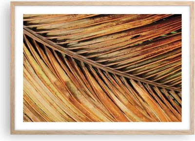 Produktbild von Gerahmtes Poster - Rahmen in heller Eiche - Orange Blatt Tropisch - 70x50 cm - Wand Bild - Wanddeko - Wandbilder - Kunstposter - Wandposter - Bilderrahmen - Bilder - Kunstdruck - P2NAA70x50-4876