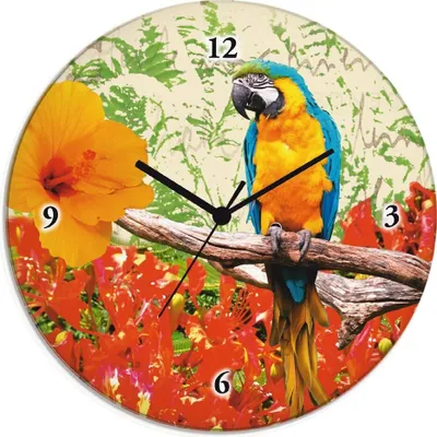 Produktbild von ARTland Glas Wanduhr Funkuhr - schwarzer Zeiger Papagei Größe: 30x30 cm