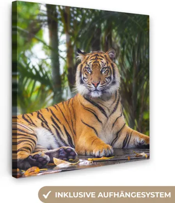 Obrázek produktu pro OneMillionCanvasses® - Plátno - Tygr - Zvířata - Les - Džungle, nástěnná malba, nástěnné dekorace obrázky do obývacího pokoje, 50x50cm