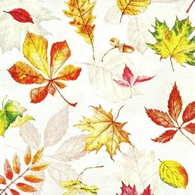 Produktbild von 20 kleine Cocktailservietten Scattered Foliage - Verstreute Herbstblätter 25x25cm
