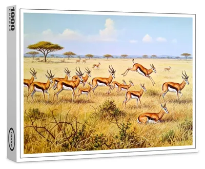 Image de Puzzle haut de gamme raxxa « Springboks en Afrique », 1 000 pièces