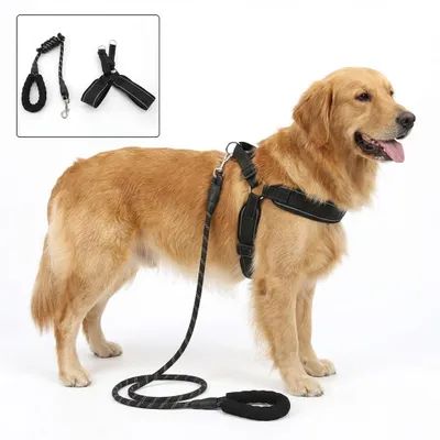 Immagine prodotto di Set imbracatura regolabile a Y per cani con guinzaglio da 1,2 m, nero, riflettente e traspirante