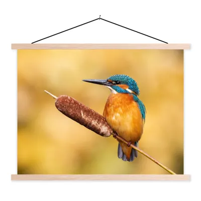 Produktbild von MuchoWow® Textilposter Eisvogel - Natur - Vogel 120x90 cm mit holzfarbenen Rahmen - Magnetisch