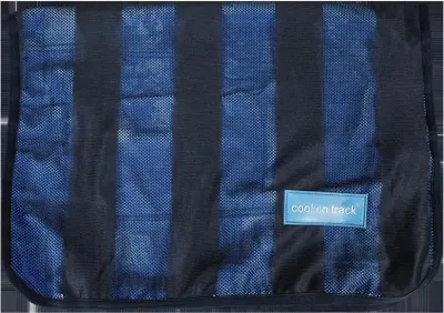 Immagine prodotto di Tappetino di raffreddamento Cool on Track, Colore:Blu, Dimensioni:106 x 76 cm