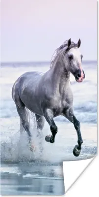 Produktbild von MuchoWow® Poster Pferd - Meer - Pastell 75x150 cm - Dekoration für die Wände