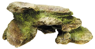 Obrázek produktu pro Nobby 28159, Béžová, Zelená, Fresh Water, Slaná voda, 1 kusů, 105 mm, 155 mm, 70 mm