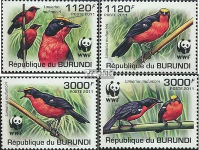 Produktbild von Briefmarken Burundi 2011 Mi 2126-2129 (kompl.Ausg.) postfrisch Papyruswürger