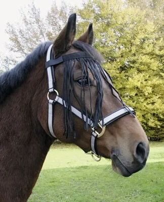 Produktbild von KERBL Fliegen-Fransenband, blau, Pony